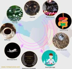 Kopi Luwak Koffie. 35 Gram Ongemalen Bonen. Direct Trade. Single Origin. The Original By Rich.Exclusive. -Koffiemelk Winkel 1200x1153 1