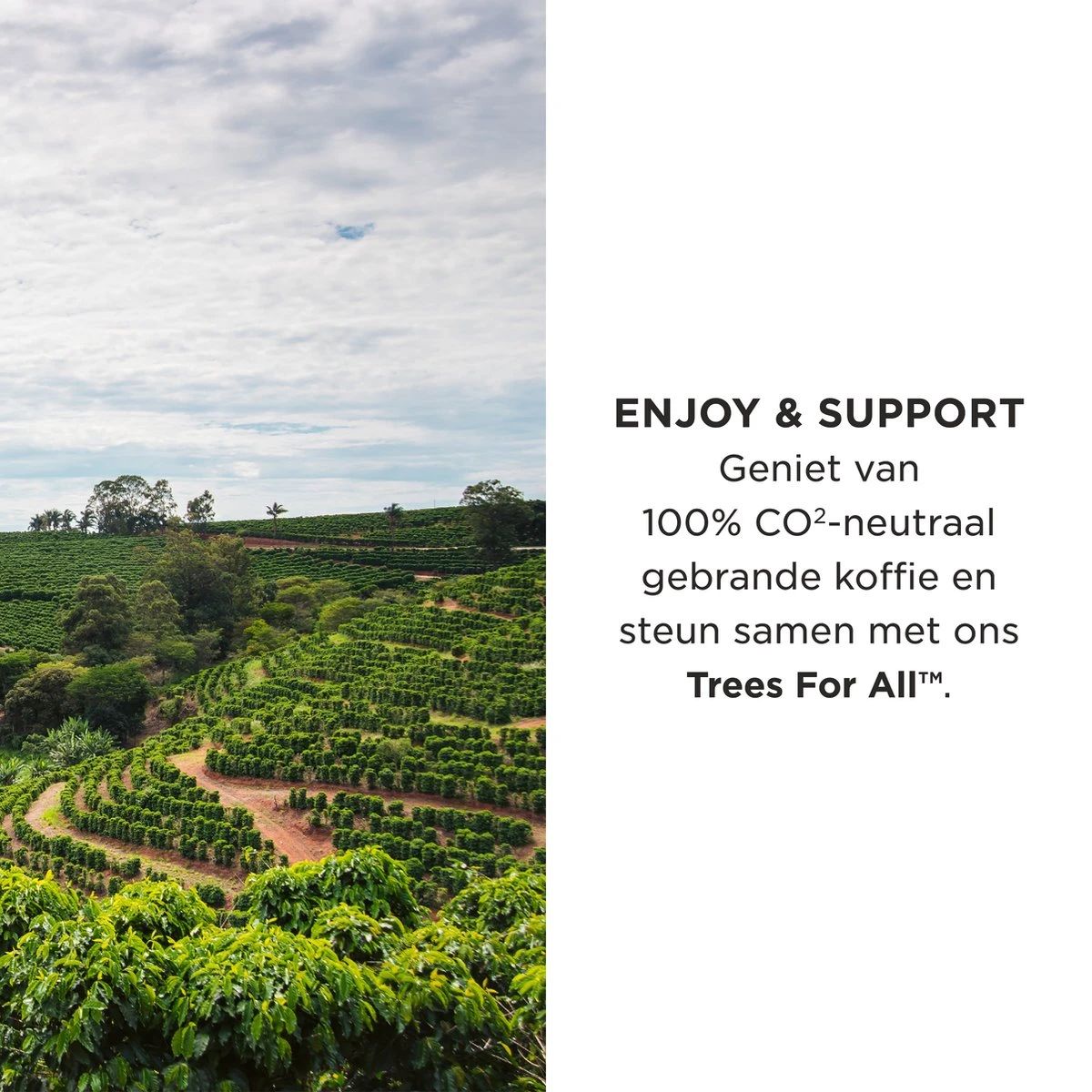 Aroma Club - Krachtige Koffiebonen 1KG - No. 3 Strong George - Koffie Intensiteit 5/5 5 Aroma Club - Krachtige Koffiebonen 1KG - No. 3 Strong George - Koffie Intensiteit 5/5 - Afbeelding 3