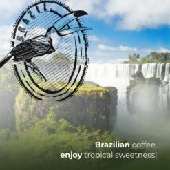 Soolong Enjoy Brazilie Nr4000 Koffiebonen Topacio Lungo - Speciality Koffie Arabica Medium Roast, Light Body Met Een Verfijnde Zacht Zoete Smaak. - Zak 250gram 17 Soolong Enjoy Brazilie Nr4000 Koffiebonen Topacio Lungo - Speciality Koffie Arabica Medium Roast, Light Body Met Een Verfijnde Zacht Zoete Smaak. - Zak 250gram -Koffiemelk Winkel 1200x1200 192