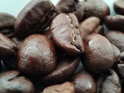 Voordeelpakket: Den Leeuw Lungo (80 Koffiecups) - Roast Koffiecups - Echte Hollandsche Koffie Van Den Leeuw In Nespresso Cups - Nespresso Compatibele Koffie Cups -Koffiemelk Winkel 1200x900