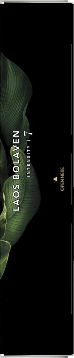 L'OR Espresso Limited Creations Laos Bolaven Koffiecups - Intensiteit 7/12 - 10 X 10 Capsules -Koffiemelk Winkel 251x1200 7